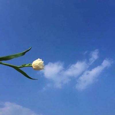 淮南子·主术训